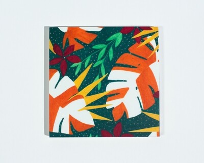 Monstera Coaster Set