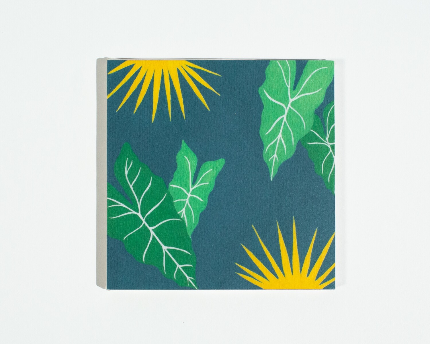 Alocasia Polly Coaster Set