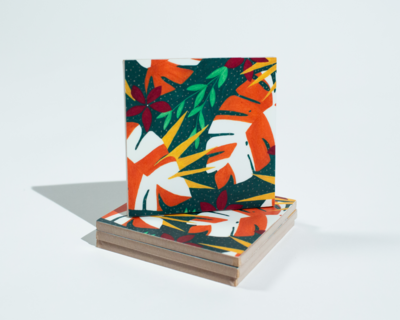 Monstera Coaster Set