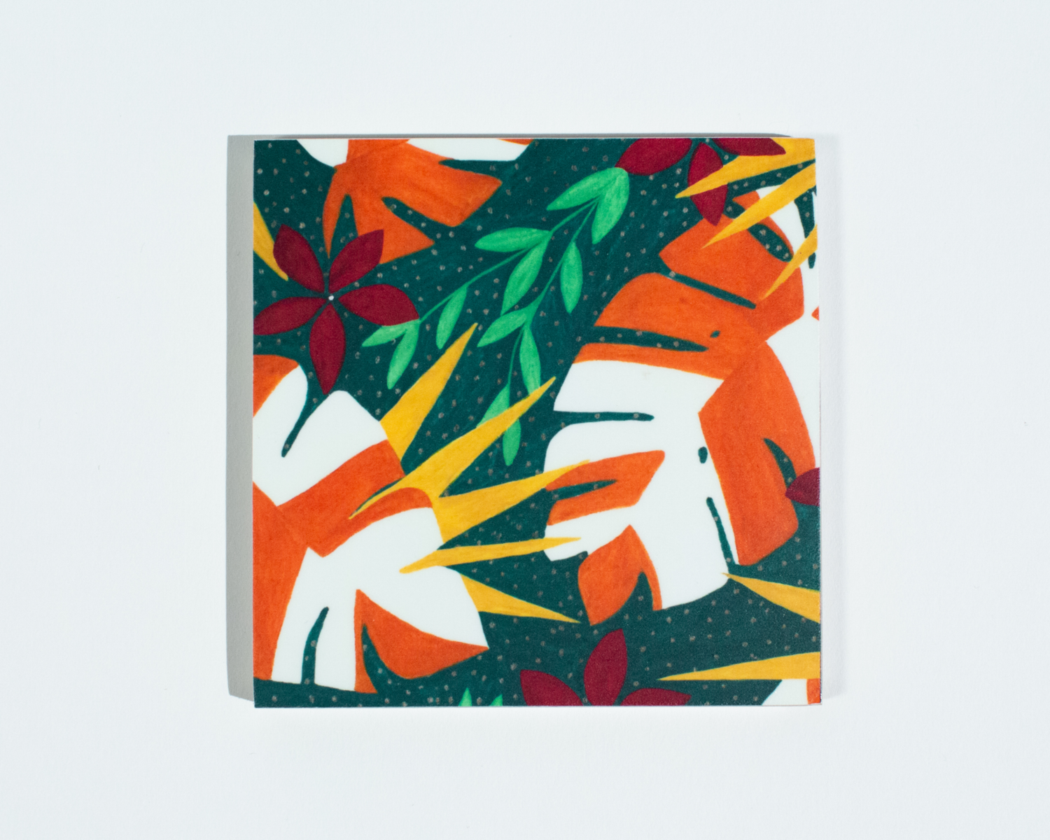 Monstera Coaster Set