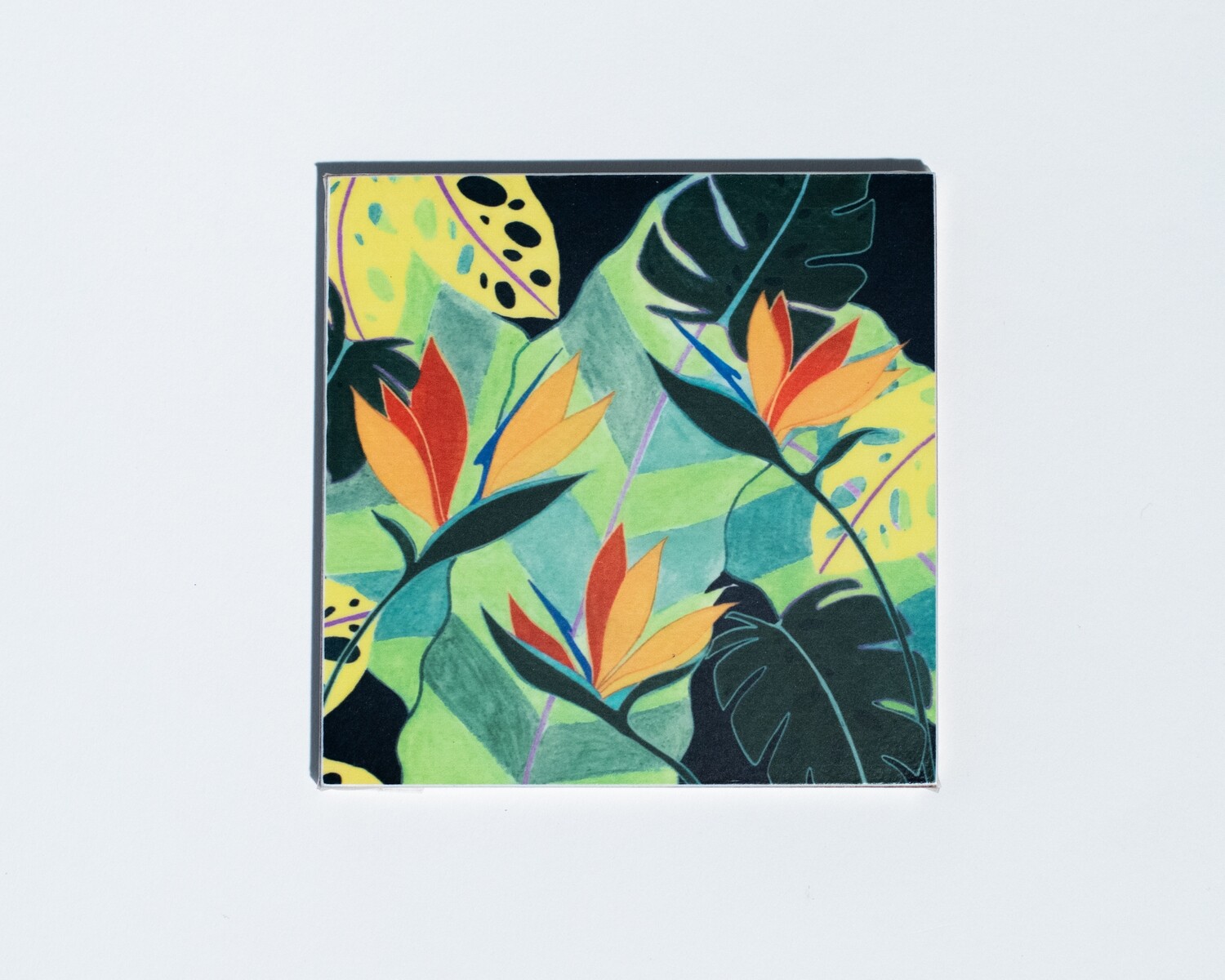 Home Paradise Coaster Set