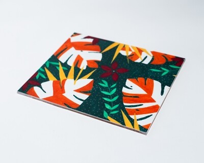 Monstera Placemat Set