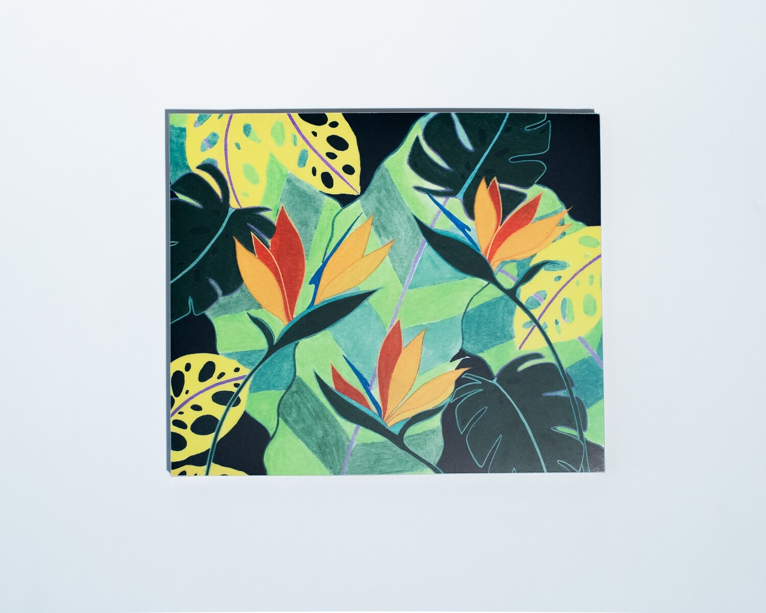 Home Paradise Placemat Set