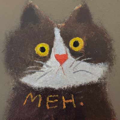 Tiny Meh – Original 15x15 cm