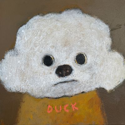 Duck – Original