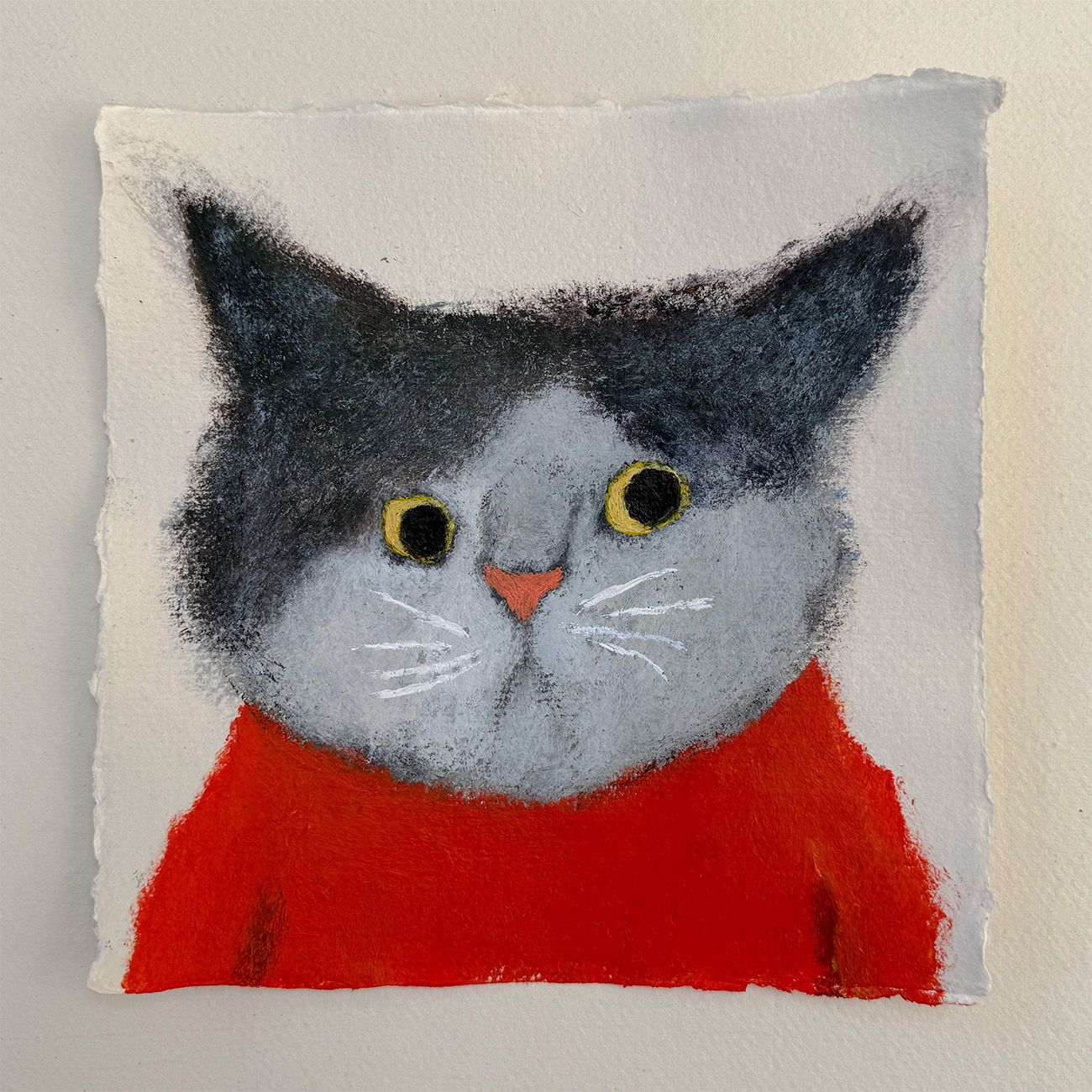 Cat in Red Jumper