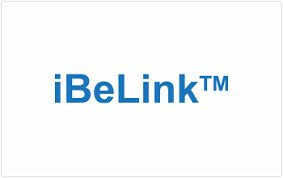 High Efficiency BM-N iBeLink 6.6TH/s