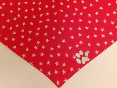 Red & White Star with Reflective Paw Print From
