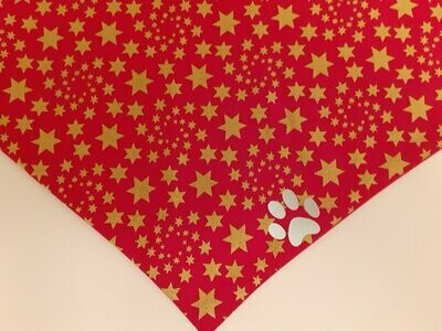 Red & Gold Star with Reflective Paw Print From