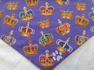 Purple Crowns with Reflective Paw from