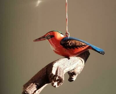 SAMPLE. MALACHITE KINGFISHER