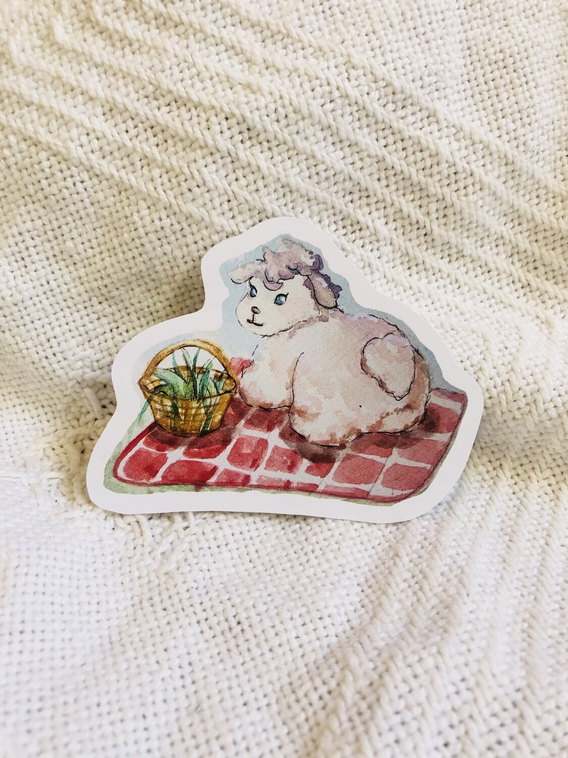 野餐小綿羊