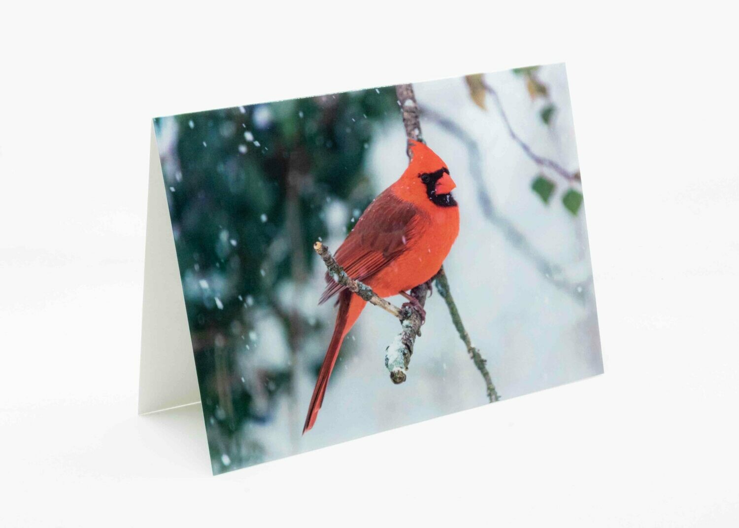 Holiday Cardinal Greeting Card