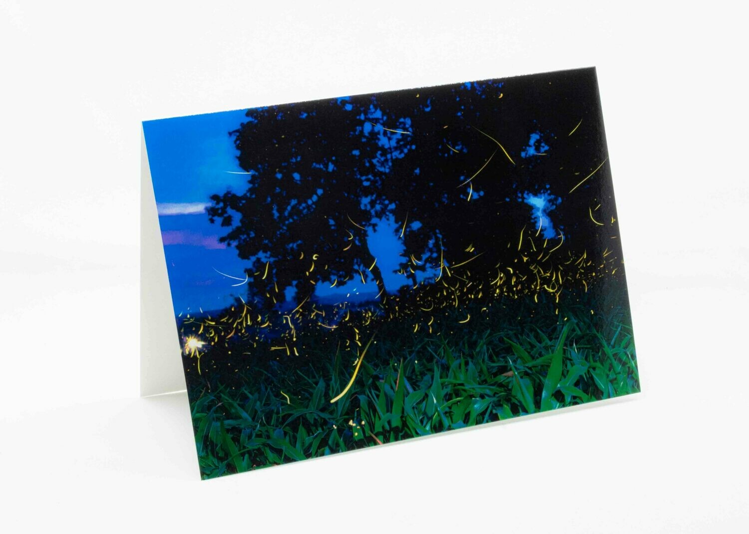 Summer Fireflies Greeting Card