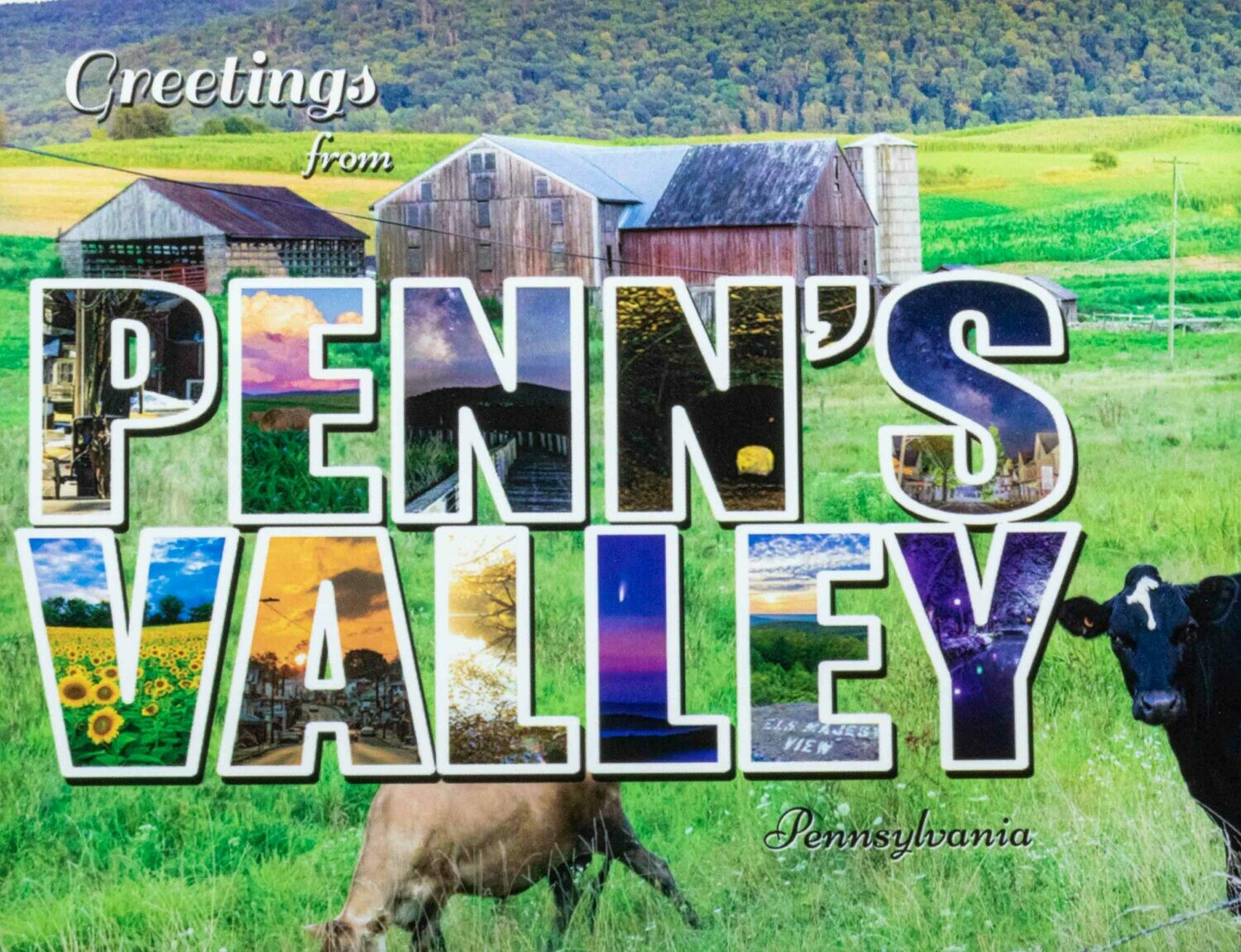 Greetings Penns Valley Postcard