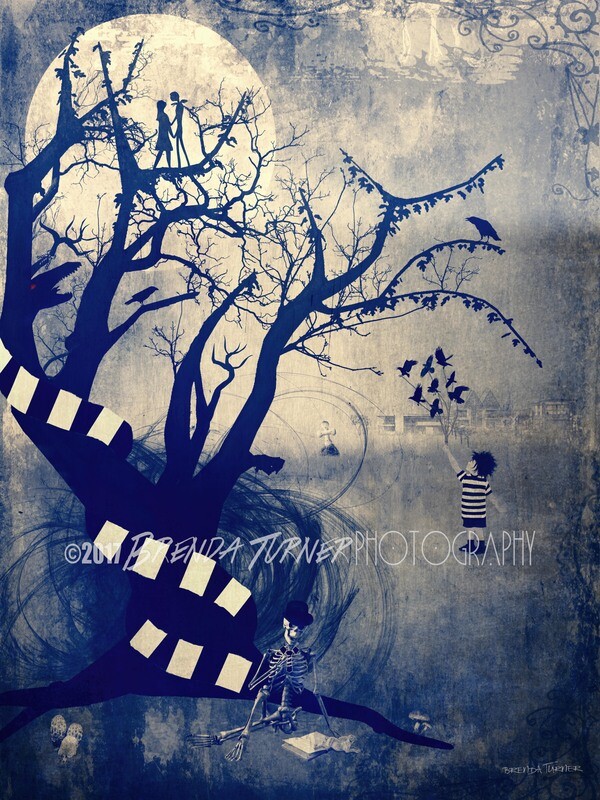 Vincent's Playground