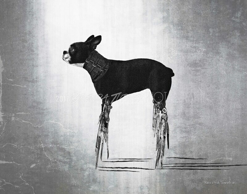 Stilts