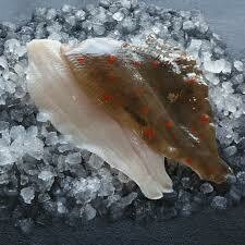 Plaice Fillets