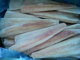 Pollock Fillets