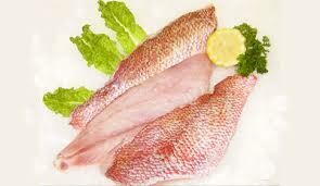 Red Snapper Fillets