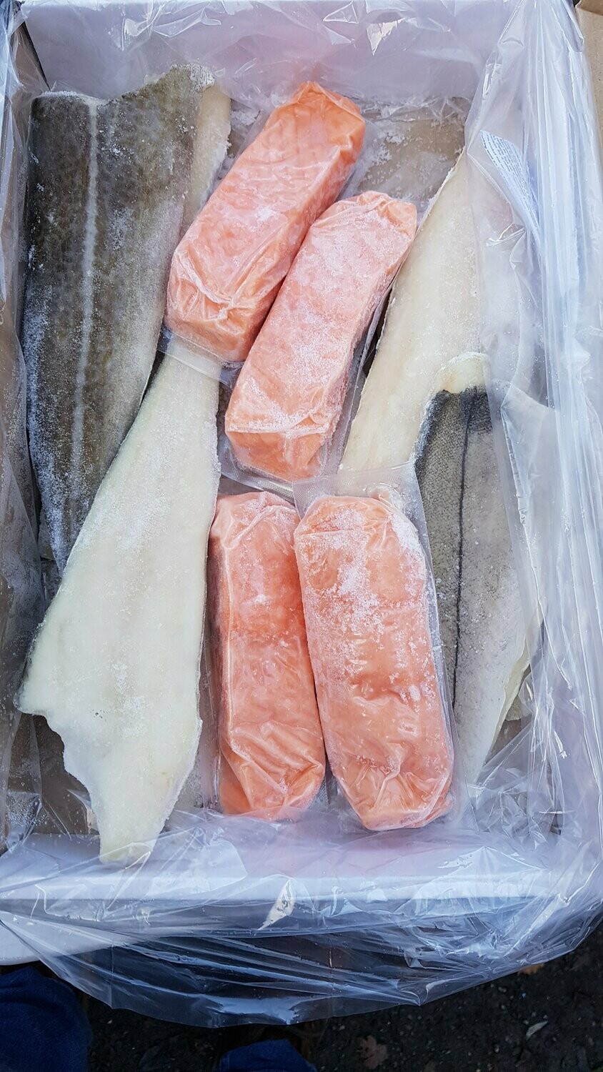 Plain fish & Salmon Box