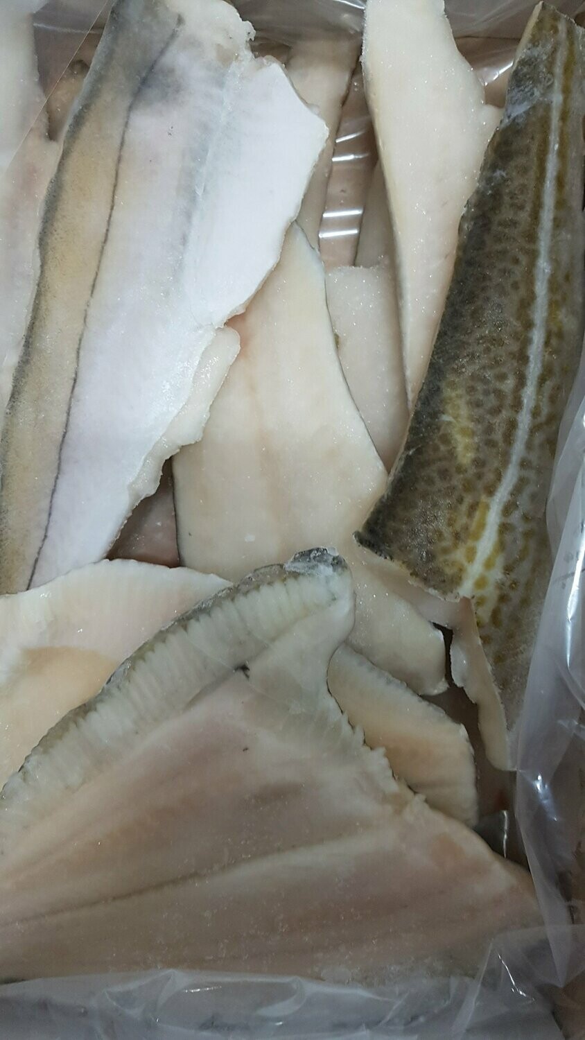 Plain Mixed Fish Box