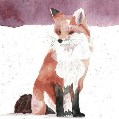 Winter Fox