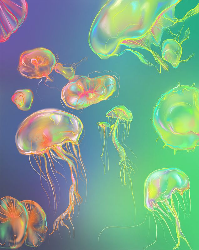 Jellyfish - Limited and signed archival print (A4)