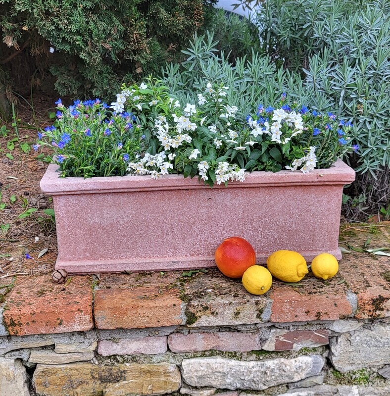 Blumenkasten/Pflanzkasten &quot;Liscio Rettangolare&quot;