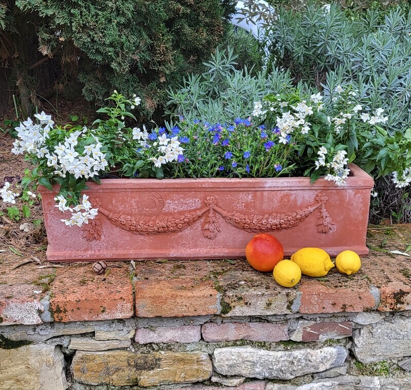 Blumenkasten/Pflanzkasten &quot;Festonata Rettangolare&quot; Länge 66 cm | Tiefe 20 cm | Höhe 18 cm