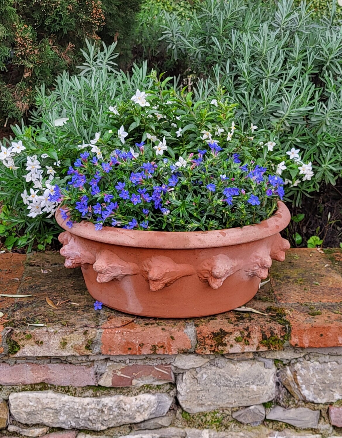 Pflanzschale  Ø Aussen 40 cm Ø Innen 35 cm Höhe 16 cm 3 Stück Lieferbar