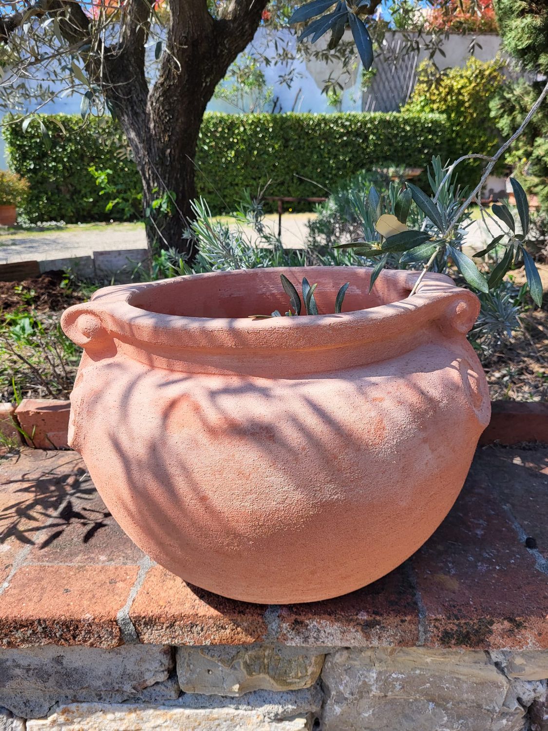 Caspo Romano   Ø Aussen 58 cm  | Höhe 45 cm