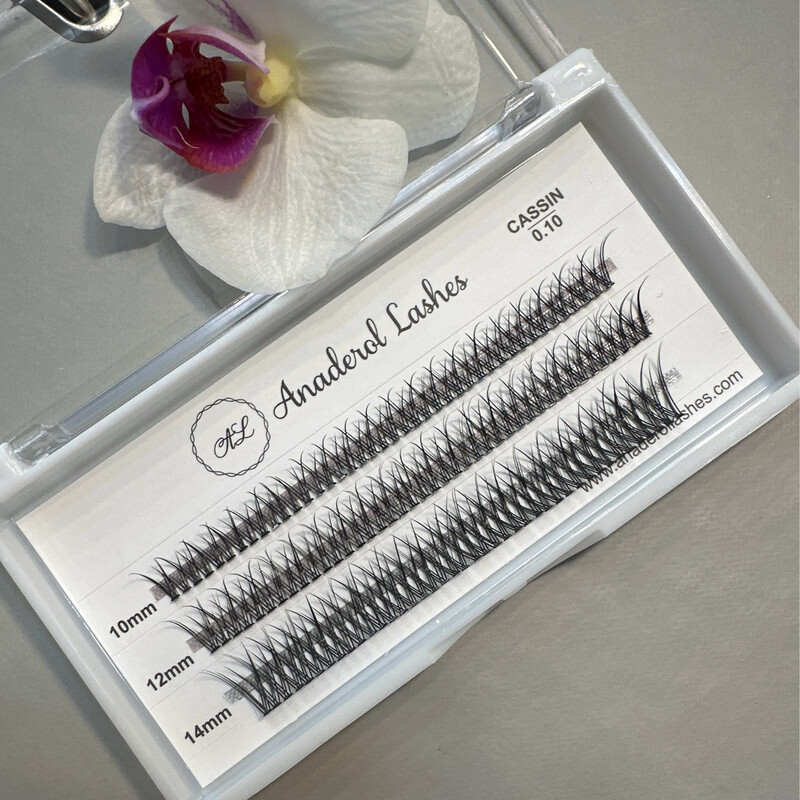 Gene Individuale Cassin, 120, Dimensiune: Mix (10, 12, 14mm), curbura D, Grosime 0,10