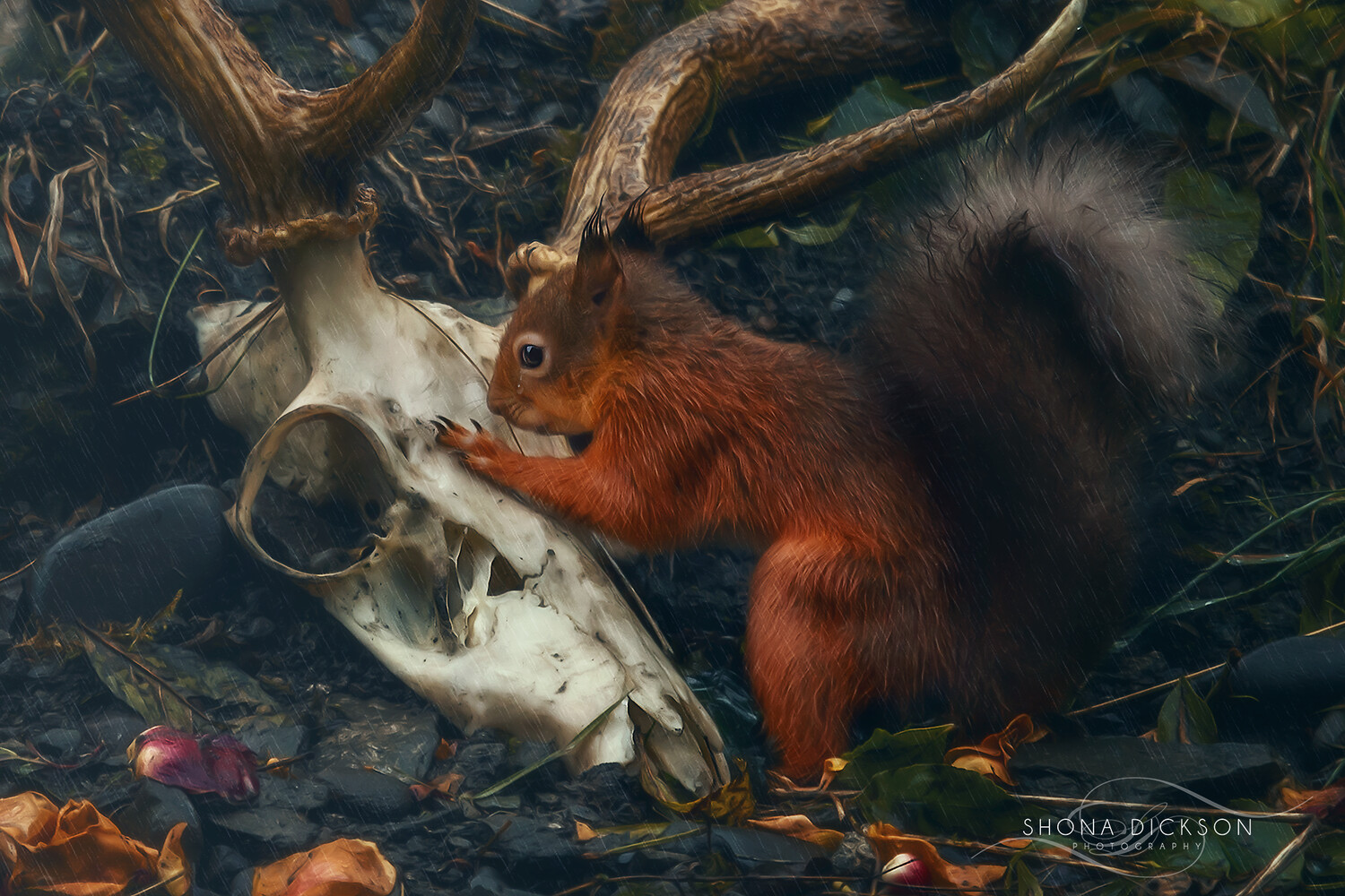 Farewell My Deer Friend Farewell My Deer Friend