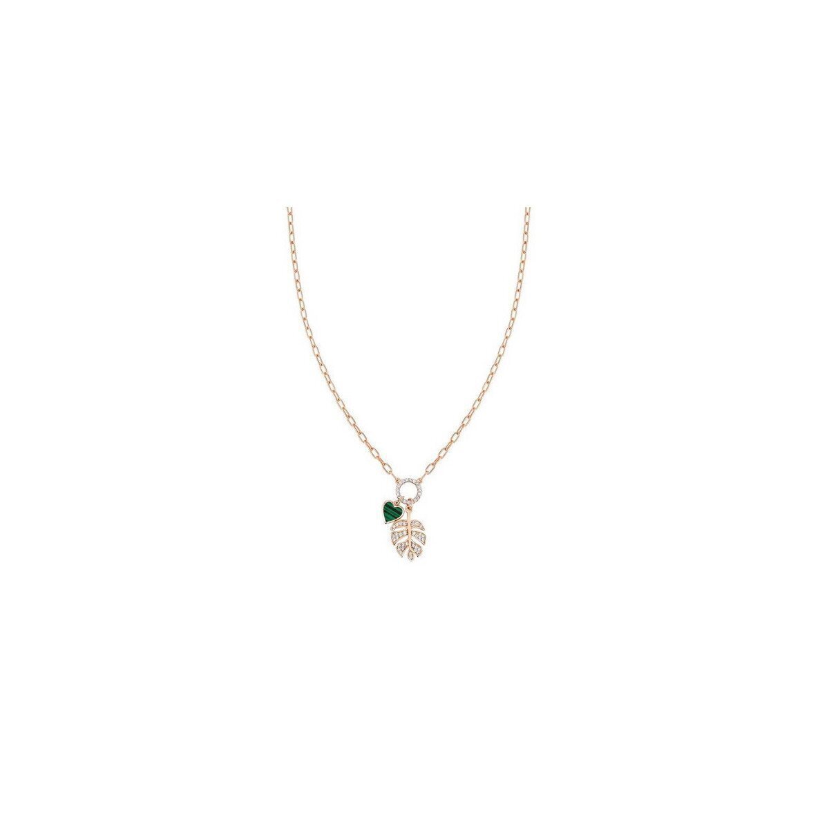 COLLAR NOMINATION