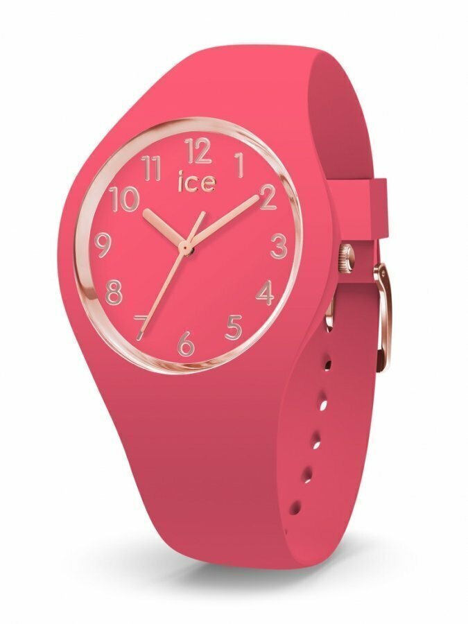 RELOJ ICE WATCH
