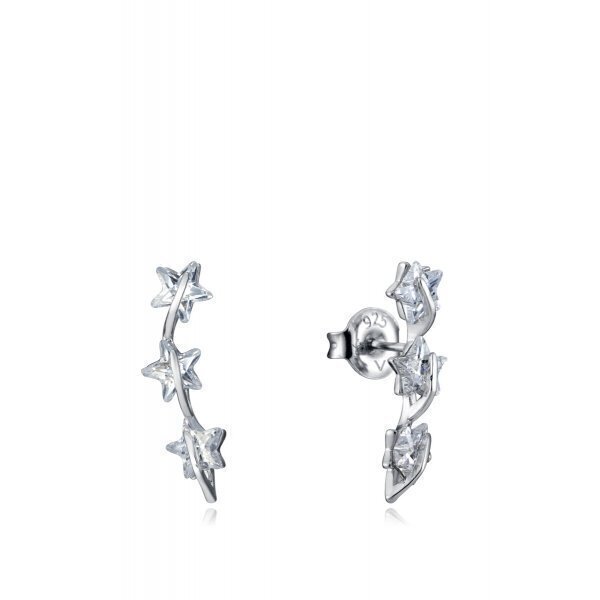 PENDIENTES VICEROY