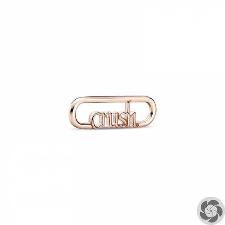 CHARM PANDORA