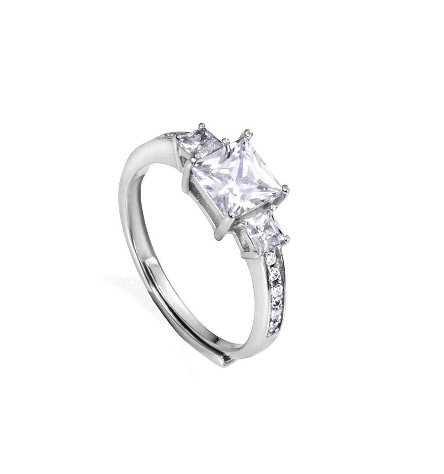 ANILLO VICEROY