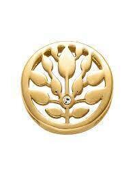 ​Viceroy motif