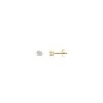 SALVATORE EARRINGS