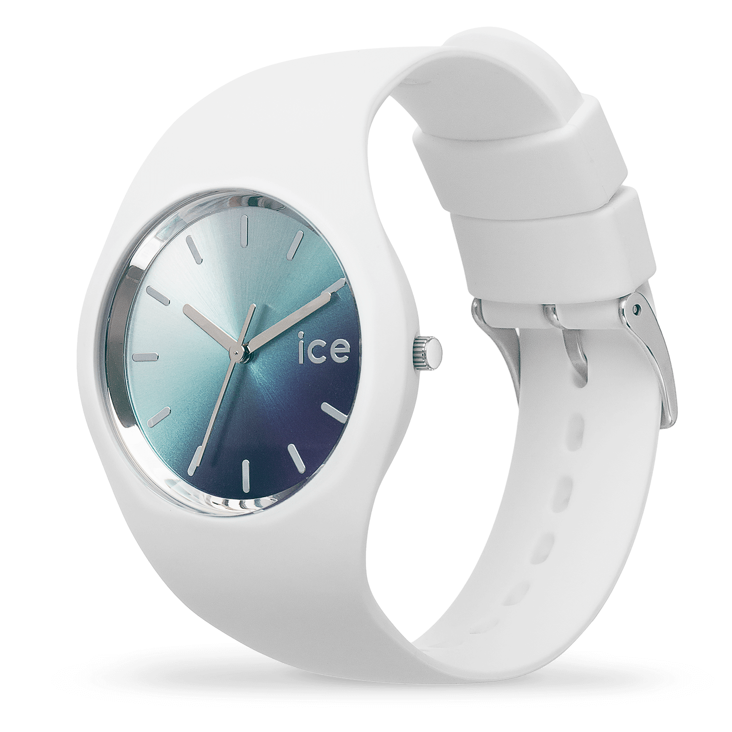 ICE WATCH