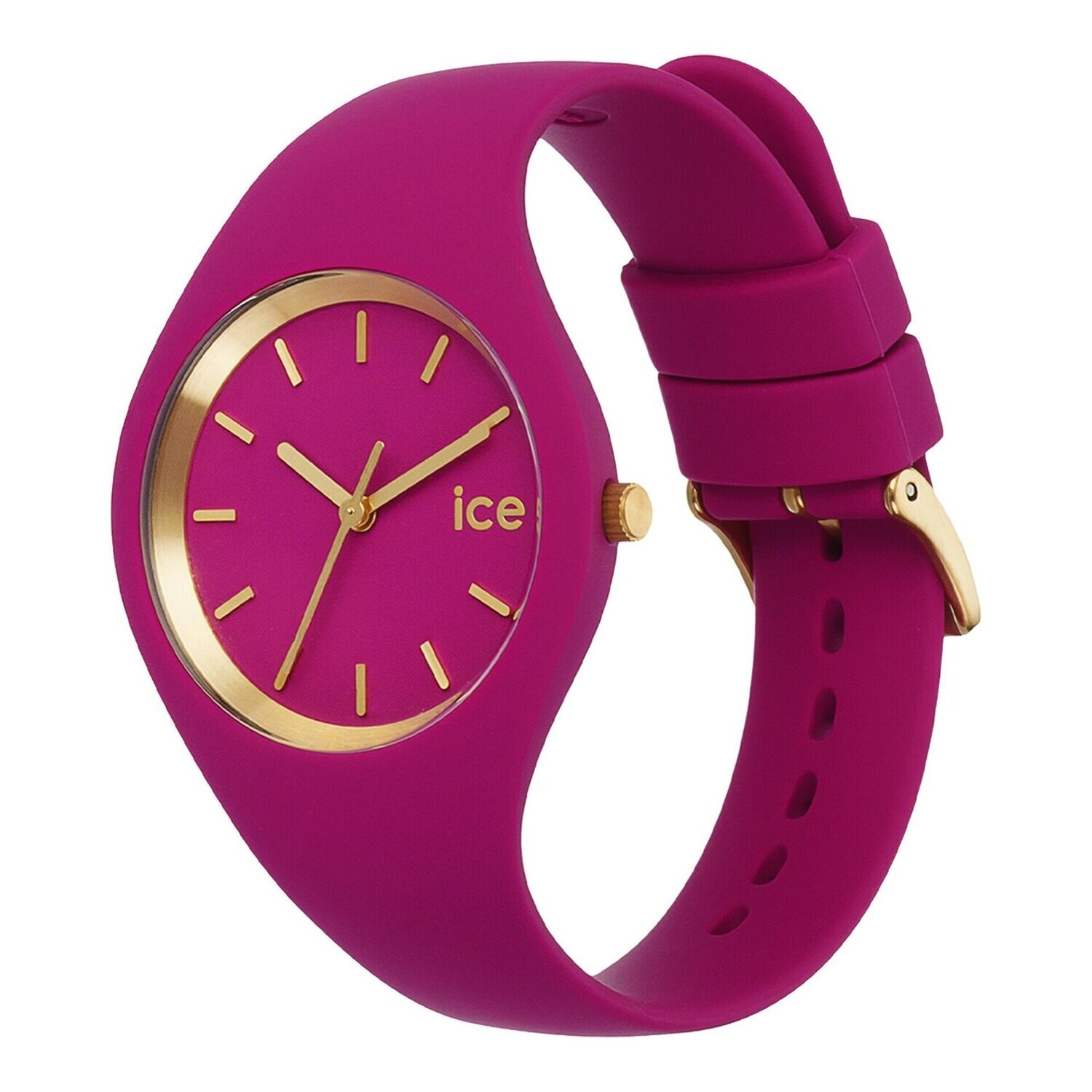 ICE WATCH