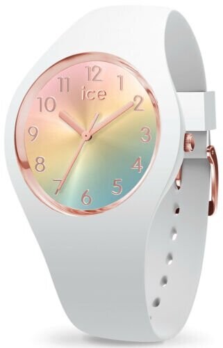 ICE WATCH