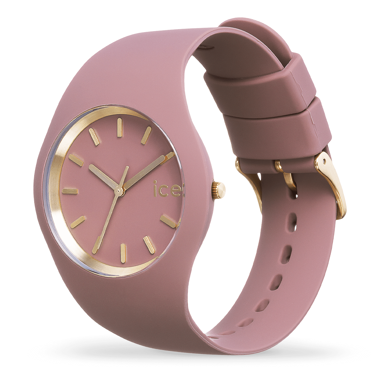ICE WATCH
