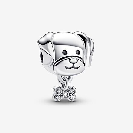 CHARM PANDORA