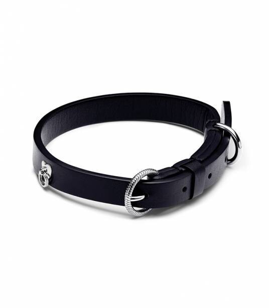 COLLAR PANDORA PARA MASCOTA