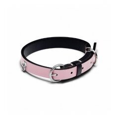 COLLAR PANDORA PARA MASCOTA