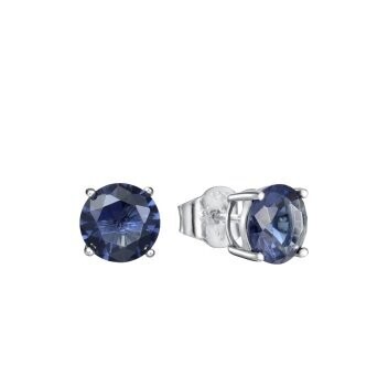 PENDIENTES VICEROY