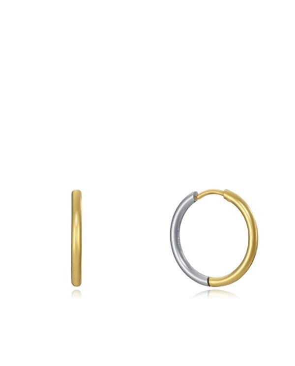 Pendientes Viceroy